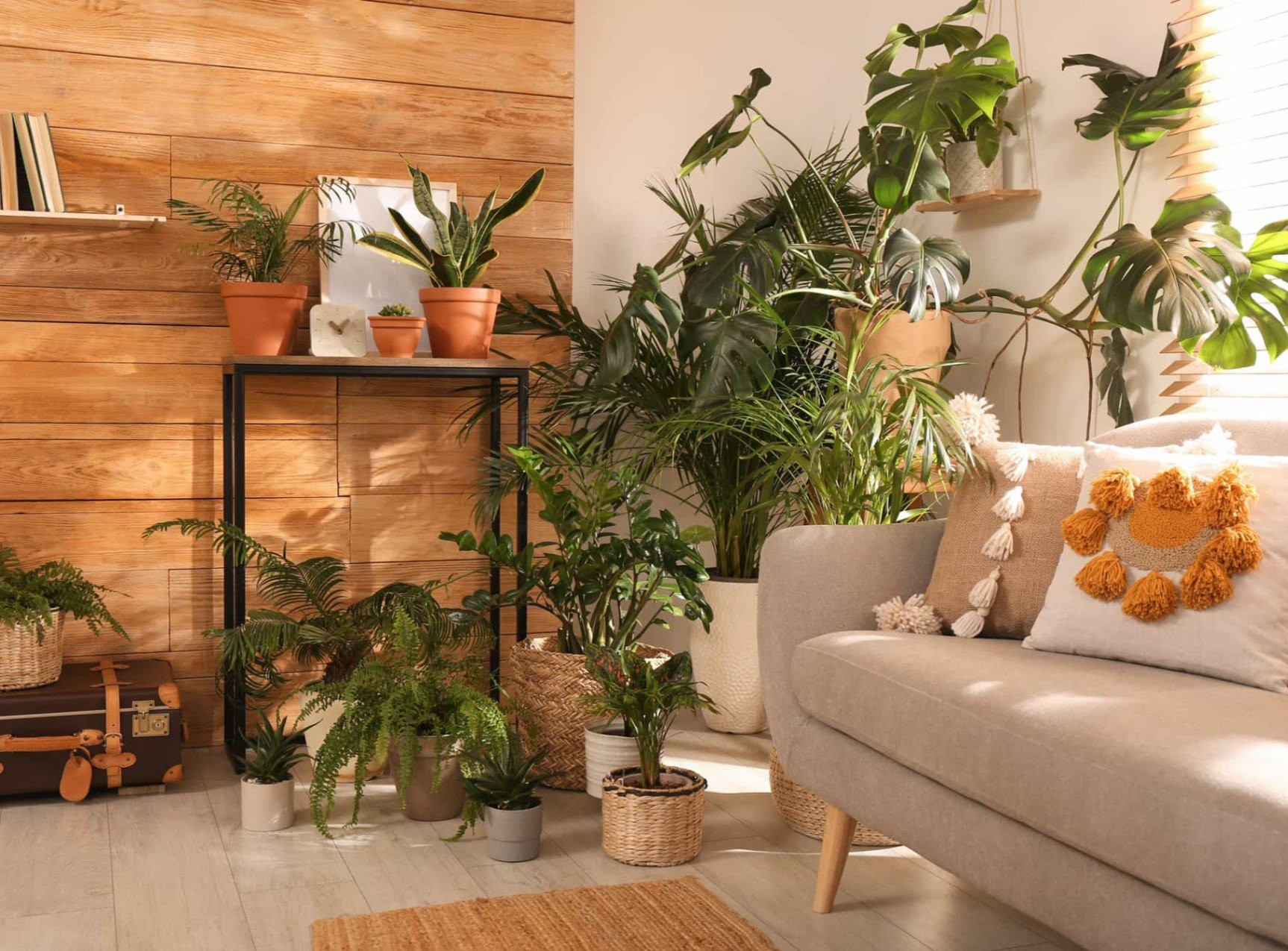 Des plantes pour un intérieur sain et stylé